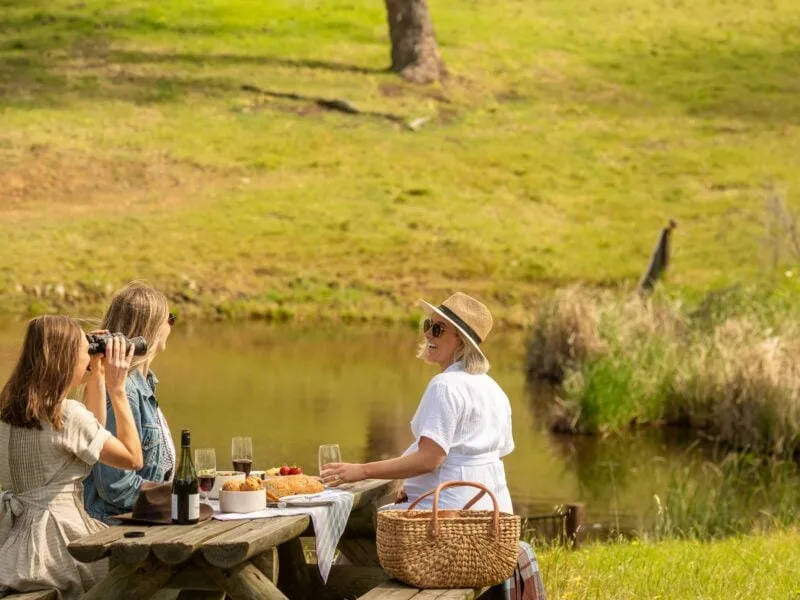 Picnic table next to the gorgeous spring-fed dam at Old Coach Road Estate.
